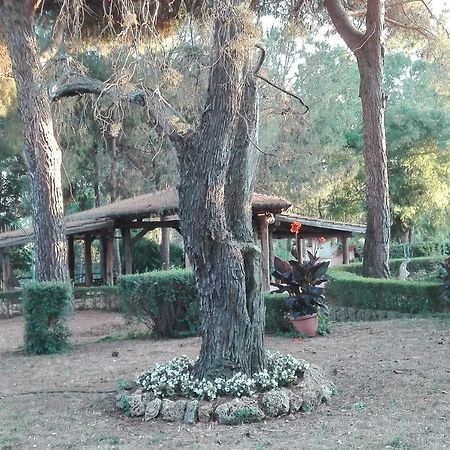 Roma - Quarto Del Cuore Villa Kültér fotó